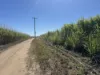 183 Burstall Road, Airdmillan, Qld 4807