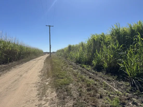 183 Burstall Road, Airdmillan, Qld 4807
