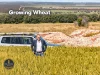 189 Smart Road, Minnipa, SA 5654-Image