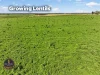 189 Smart Road, Minnipa, SA 5654-Image