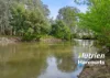 1970 Great Alpine Road, Everton, Vic 3678