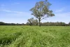 1970 Great Alpine Road, Everton, Vic 3678-Image