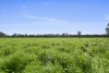 1970 Great Alpine Road, Everton, Vic 3678-Image