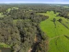 1970 Great Alpine Road, Everton, Vic 3678-Image