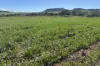 199 Hatch Road, Bowes, WA 6535
