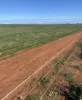 199 Hatch Road, Bowes, WA 6535-Image