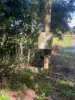 2 & 3, Nilssons Road, Racecourse, Qld 4740-Image