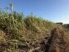 20 Colevale Road, Brandon, Qld 4808-Image