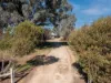 20 Nankervis Lane, Oxley, Vic 3678-Image