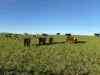 207 Hermitage Lane, Moriarty, Tas 7307