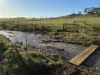 207 Hermitage Lane, Moriarty, Tas 7307-Image