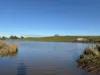 207 Hermitage Lane, Moriarty, Tas 7307-Image