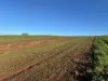207 Hermitage Lane, Moriarty, Tas 7307-Image