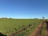 207 Hermitage Lane, Moriarty, Tas 7307-Image