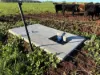 207 Hermitage Lane, Moriarty, Tas 7307-Image