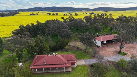 2087 Nangar Road, Eugowra, NSW 2806