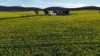 2087 Nangar Road, Eugowra, NSW 2806-Image