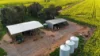 2087 Nangar Road, Eugowra, NSW 2806-Image