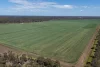 2099 Gardens Road, Wee Waa, NSW 2388