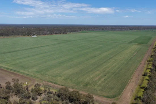 2099 Gardens Road, Wee Waa, NSW 2388 - For Sale