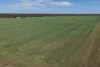 2099 Gardens Road, Wee Waa, NSW 2388-Image