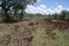 2099 Gardens Road, Wee Waa, NSW 2388-Image