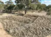 21 Labuan Road, Numurkah, Vic 3636-Image