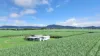 214 Kennys Road, Marian, Qld 4753-Image