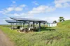 214 Kennys Road, Marian, Qld 4753-Image