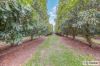 214 Thomasens Road, Alloway, Qld 4670-Image