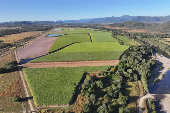 215 Bloomsbury Back Road, Bloomsbury, Qld 4799