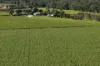 215 Bloomsbury Back Road, Bloomsbury, Qld 4799-Image