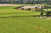 215 Bloomsbury Back Road, Bloomsbury, Qld 4799-Image