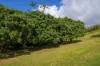 219, Scrubby Creek QLD 4570-Image