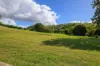 219, Scrubby Creek QLD 4570-Image