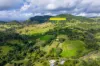 219, Scrubby Creek QLD 4570-Image