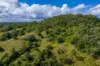 219, Scrubby Creek QLD 4570-Image