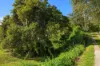219, Scrubby Creek QLD 4570-Image