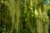 219, Scrubby Creek QLD 4570-Image