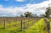 2209 Langhorne Creek Road, Langhorne Creek, SA 5255-Image