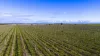 2209 Langhorne Creek Road, Langhorne Creek, SA 5255-Image