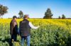 2244, Berrigan NSW 2712-Image