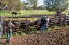 2244, Berrigan NSW 2712-Image
