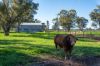 2244, Berrigan NSW 2712-Image