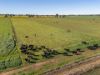 2244, Berrigan NSW 2712-Image