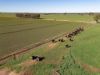 2244, Berrigan NSW 2712-Image
