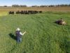 2244, Berrigan NSW 2712-Image