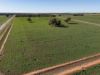 2244, Berrigan NSW 2712-Image