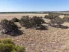229 Padbury Road, Bookara, WA 6525-Image