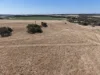 229 Padbury Road, Bookara, WA 6525-Image